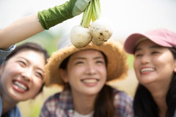 野菜を収穫する女性たち